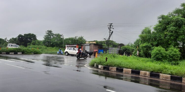 महामार्गावर गवताचे साम्राज्य; अपघाताची शक्यता