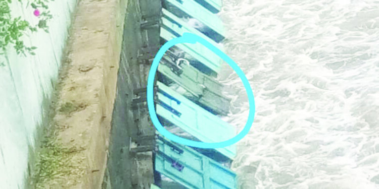 शेतीतील फ्लॅप गेट कायमस्वरूपी ठेवा