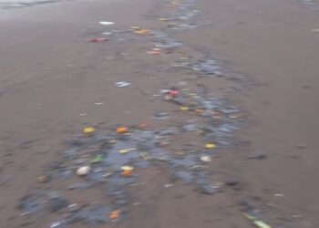 रेवदंडा समुद्र किनारा तेल तंवगाने विद्रुप