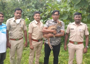 भेकराला दिले जिवनदान