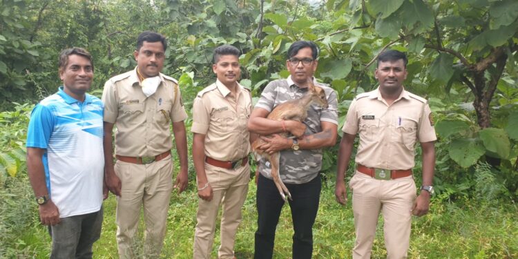 भेकराला दिले जिवनदान