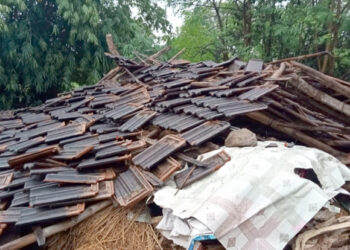 चिरनेर येथे गुरांचा वाडा कोसळला