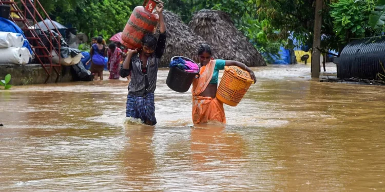 गुलाब चक्रीवादळाने घेतला 436 जणांचा बळी