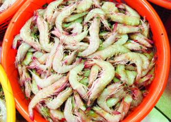 वादळामुळे समुद्रात सन्नाटा