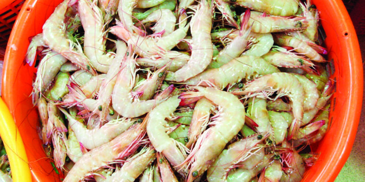 वादळामुळे समुद्रात सन्नाटा