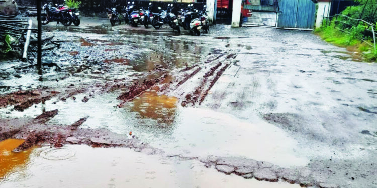 हरीश्री केमिकल्समध्ये वायूगळती