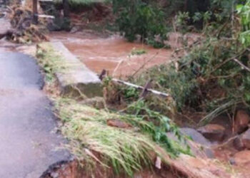 जिल्ह्यात पावसाचा हाहाकार