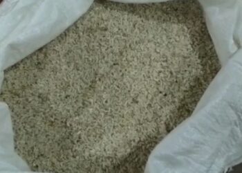 धक्कादायक! रेशन दुकानदाराकडून होतेय निकृष्ट दर्जाच्या तांदळाची विक्री