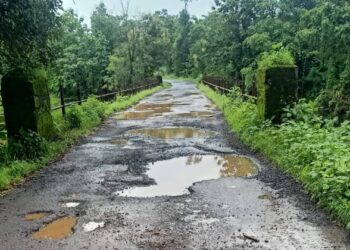 वंजारवाडी-भालीवडी रस्त्याची दुरावस्था