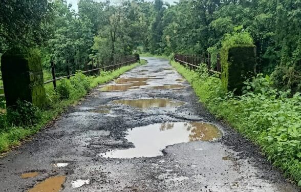 वंजारवाडी-भालीवडी रस्त्याची दुरावस्था