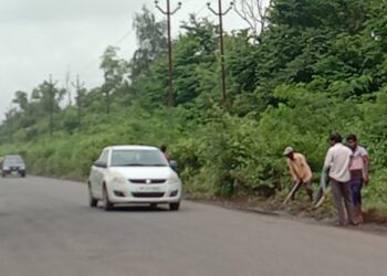 स्वखर्चाने केली झुडपांची छाटणी