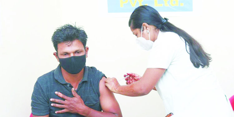 शेकापचा सेवारथ गावागावात ; दुसर्या टप्प्याच्या तिसच्या दिवशी 250 लाभार्थ्यांचे लसीकरण