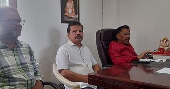 विकासाच्या घोषणा म्हणजे पावसाळी बेडूक