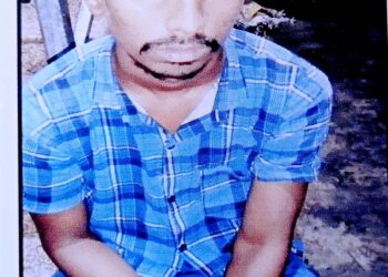 सुकेळी येथून मोबाईल चोरीला