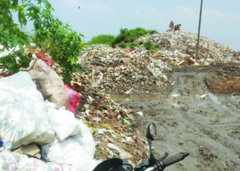 उरण नगरपालिकेच्या खारफुटी कचरा प्रकरणी सुनावणी