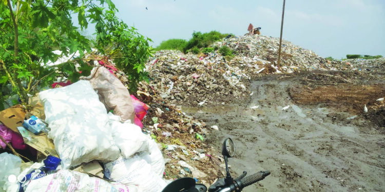 उरण नगरपालिकेच्या खारफुटी कचरा प्रकरणी सुनावणी