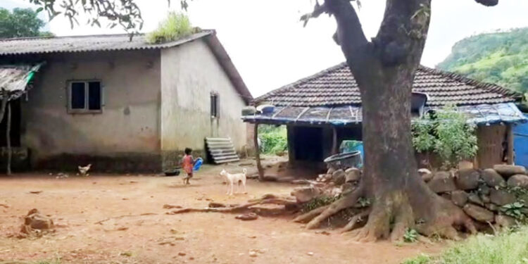 रायगडच्या पायथ्याशी असलेल्या गावांचा जगण्यासाठी संघर्ष