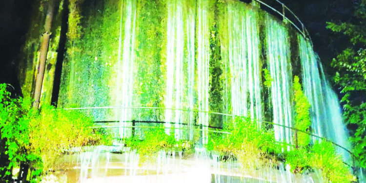 ओव्हरफ्लो पाण्याच्या टाकीमुळे नागरीक त्रस्त