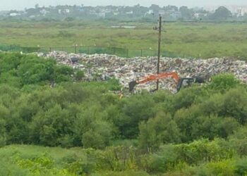 खारफुटीवरील कचराप्रकरणी न्यायालयाची दखल