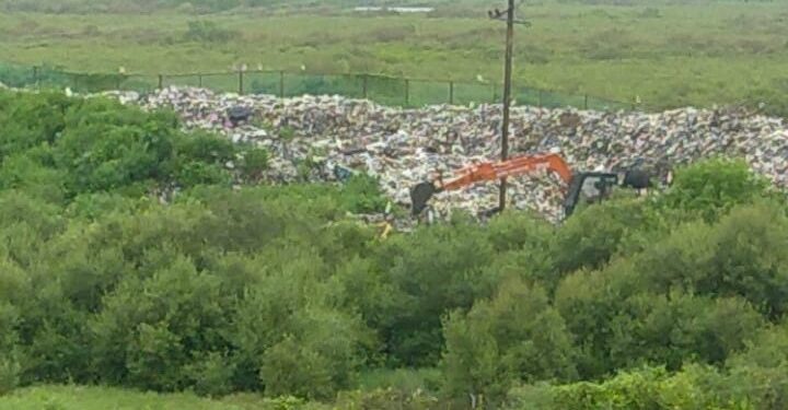 खारफुटीवरील कचराप्रकरणी न्यायालयाची दखल