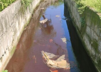 केमिकलमुळेे कुंडलिका झाली प्रदूषित