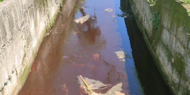 केमिकलमुळेे कुंडलिका झाली प्रदूषित