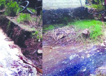 महाडमधील टेमघर नाला प्रदुषित