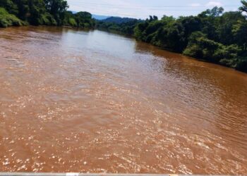 अंबा नदीचे पाणी झाले गढूळ