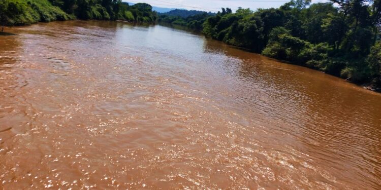 अंबा नदीचे पाणी झाले गढूळ