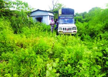 पालीतील शवविच्छेदनगृह हरविले गवतात
