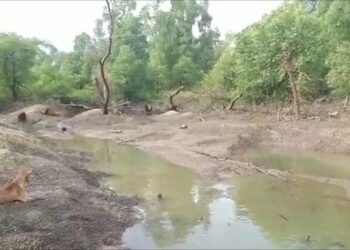 अवैध रेती उत्खननाविरोधात कोपरवासियांचा एल्गार