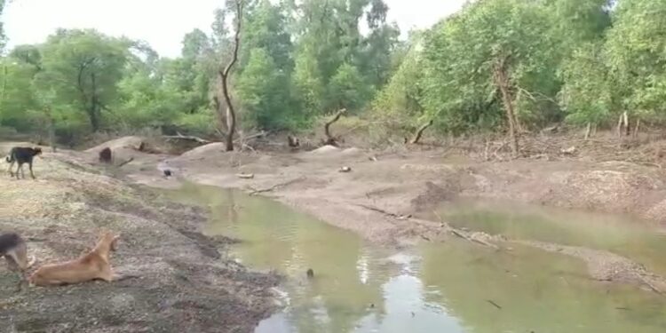 अवैध रेती उत्खननाविरोधात कोपरवासियांचा एल्गार