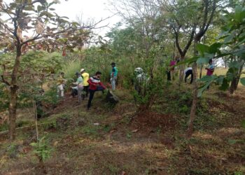 दासभक्तांनी केली झाडांची साफसफाई