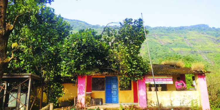 बेकरेवाडी शाळेवर झाड कोसळले