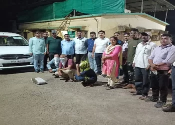 व्हेल माशाच्या उलटीची तस्करी