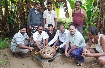 विहिरीत अडकलेल्या खवले मांजराची सुटका