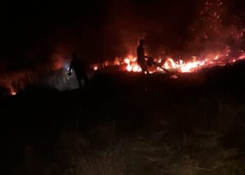 रामधरणेश्‍वर डोंगरावर वणव्यात वनसंपत्ती नष्ट