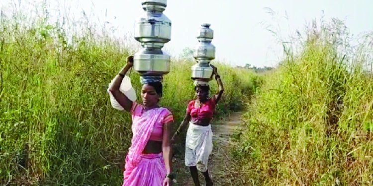 मोरेवाडी, ताडवाडी तहानलेली; आदिवासींची पिण्याच्या पाण्यासाठी पायपीट