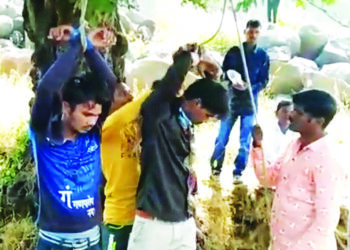 सुधागडात दोन तरुणांना झाडाला बांधून चोपले