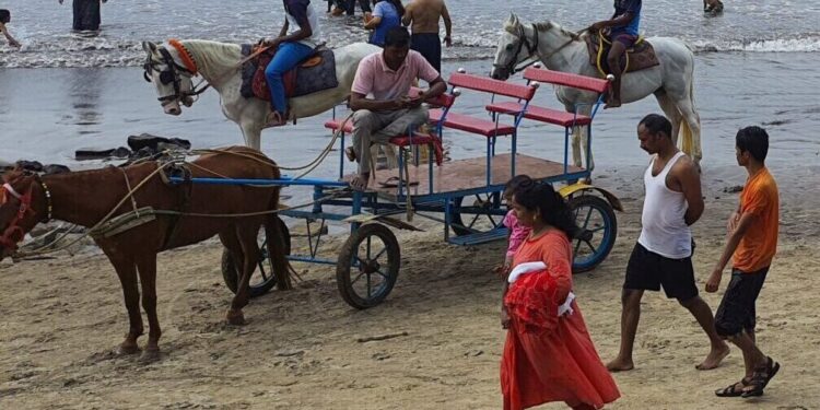 रविवारीदेखील जंजिर्‍यात वर्दळ कायम