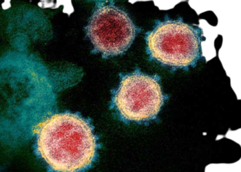 ओमिक्रॉनमुळे जिल्ह्यात यंत्रणा सतर्क