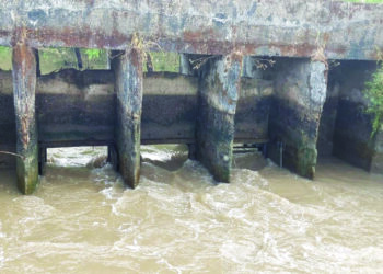 उघाडीचे दरवाजे तुटल्याने खारेपाणी शेतीत