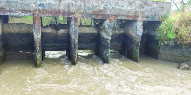 उघाडीचे दरवाजे तुटल्याने खारेपाणी शेतीत
