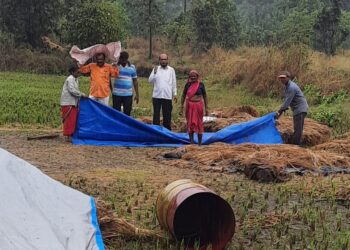 रायगडात अवकाळी पावसाचा दणका