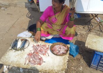 मुरूडला ऐन सिझनमध्ये मासळीचा तुटवडा