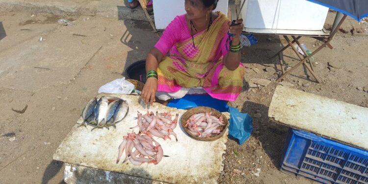 मुरूडला ऐन सिझनमध्ये मासळीचा तुटवडा