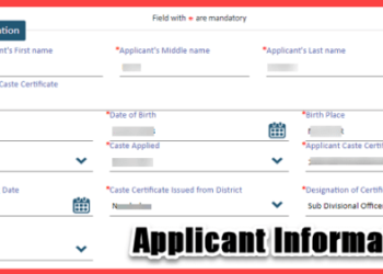 घरबसल्या जातीचे प्रमाणपत्र कसं काढायचं ? वाचा सविस्तर