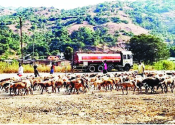 घाटावरील मेंढपाळाचे कोकणाकडे कूच