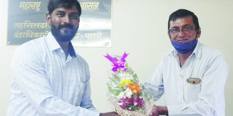 बहुपयोगी सोलर ड्रायरचा शोध