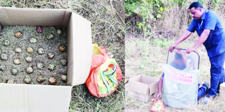 ‘ते’ 25 हातबॉम्ब सुरक्षितपणे नष्ट होणार